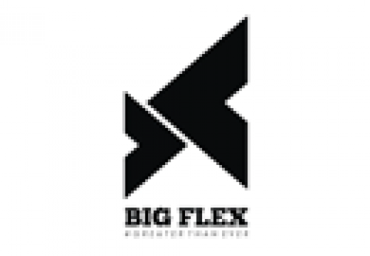BIGFLEX ESSENTIAL GLUTAMINE 250G - FLAT 45%